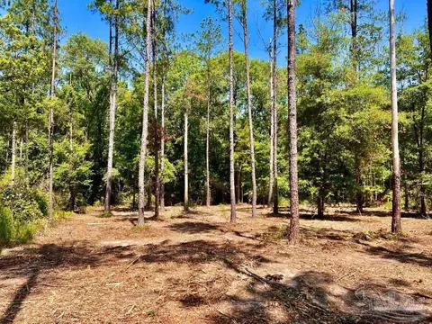 lot18 Pine Preserve Ln, Jay, FL 32565 photo 10