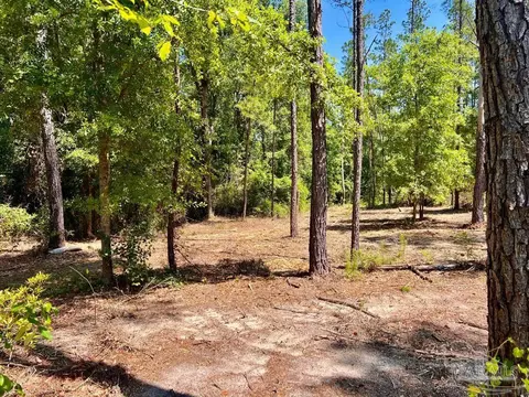 lot18 Pine Preserve Ln, Jay, FL 32565 photo 2