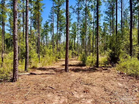 lot18 Pine Preserve Ln, Jay, FL 32565 photo 11