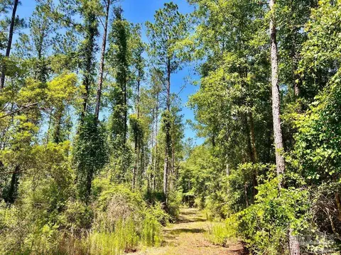lot18 Pine Preserve Ln, Jay, FL 32565 photo 9