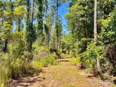 lot18 Pine Preserve Ln, Jay, FL 32565 photo 8