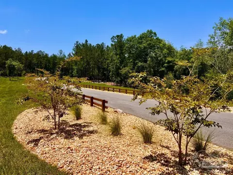 lot18 Pine Preserve Ln, Jay, FL 32565 photo 26