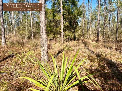lot19 Spotted Fawn Ln, Pace, FL 32571