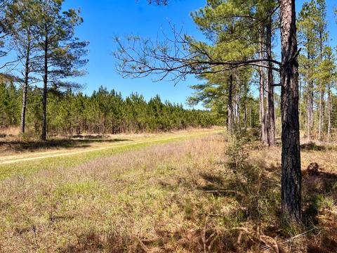 lot21 Pine Preserve Ln, Pace, FL 32571 photo 7