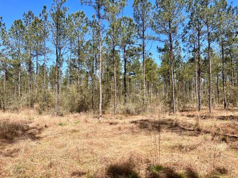 lot21 Pine Preserve Ln, Pace, FL 32571 photo 10