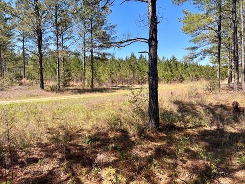 lot21 Pine Preserve Ln, Pace, FL 32571 photo 6