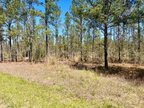 lot21 Pine Preserve Ln, Pace, FL 32571 photo 15