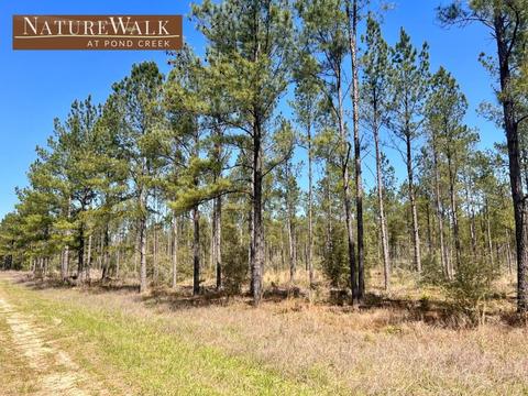 lot21 Pine Preserve Ln, Pace, FL 32571