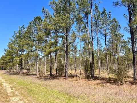 lot21 Pine Preserve Ln, Pace, FL 32571 photo 14