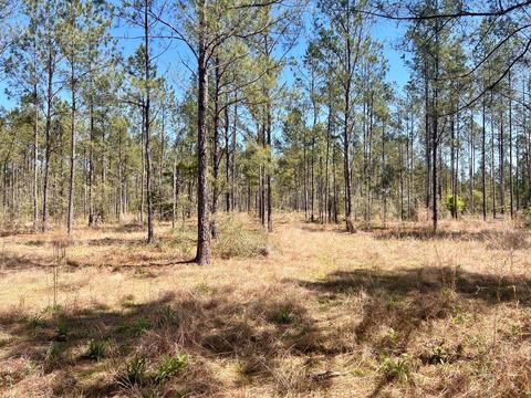 lot21 Pine Preserve Ln, Pace, FL 32571 photo 9