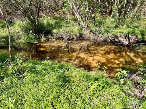 lot25 Ashbridge Ln, Jay, FL 32565 photo 13