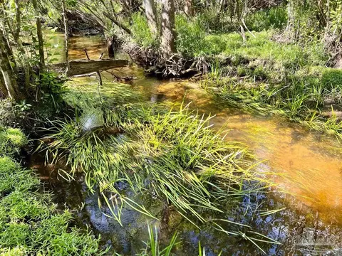 lot25 Ashbridge Ln, Jay, FL 32565 photo 12