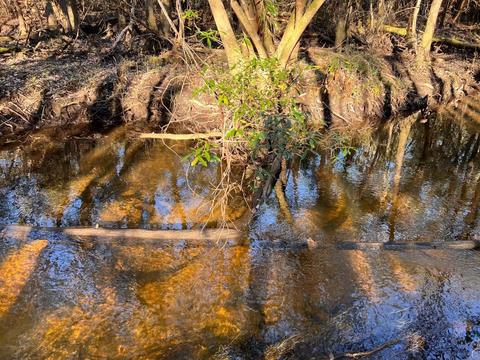lot26 Ashbridge Ln, Pace, FL 32571 photo 17