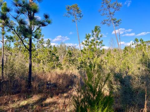 lot26 Ashbridge Ln, Pace, FL 32571 photo 13