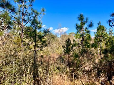lot26 Ashbridge Ln, Pace, FL 32571 photo 15