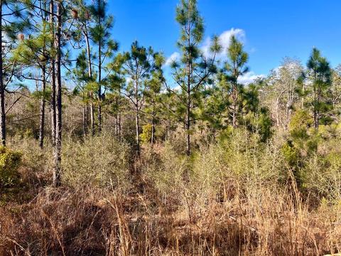 lot26 Ashbridge Ln, Pace, FL 32571 photo 14