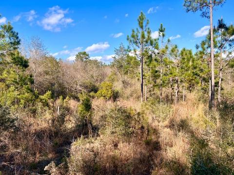 lot26 Ashbridge Ln, Pace, FL 32571 photo 10
