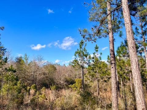 lot26 Ashbridge Ln, Pace, FL 32571 photo 12