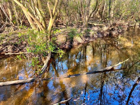 lot26 Ashbridge Ln, Pace, FL 32571 photo 20
