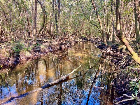 lot26 Ashbridge Ln, Pace, FL 32571 photo 19
