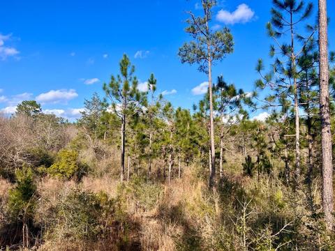 lot26 Ashbridge Ln, Pace, FL 32571 photo 11