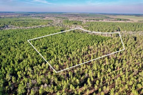 lot26 Ashbridge Ln, Pace, FL 32571 photo 2