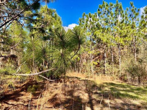 lot27 Ashbridge Ln, Pace, FL 32571 photo 6