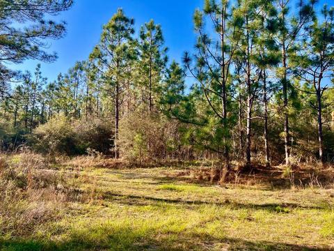 lot27 Ashbridge Ln, Pace, FL 32571 photo 13