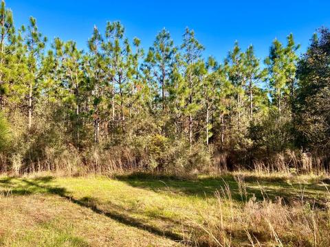 lot27 Ashbridge Ln, Pace, FL 32571 photo 12