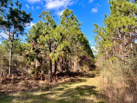 lot27 Ashbridge Ln, Pace, FL 32571 photo 9