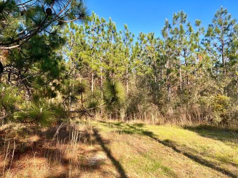 lot27 Ashbridge Ln, Pace, FL 32571 photo 11