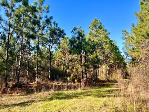 lot27 Ashbridge Ln, Pace, FL 32571 photo 14