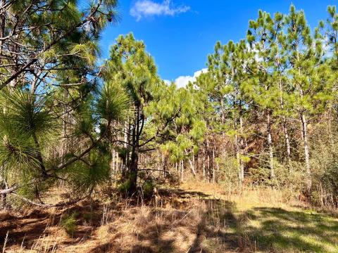 lot27 Ashbridge Ln, Pace, FL 32571 photo 7