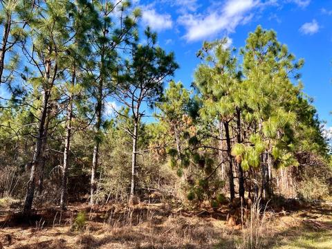 lot27 Ashbridge Ln, Pace, FL 32571 photo 8
