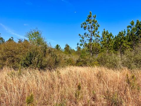 lot29 Naturewalk Dr, Pace, FL 32571 photo 8