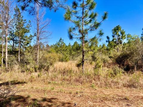 lot29 Naturewalk Dr, Pace, FL 32571 photo 6
