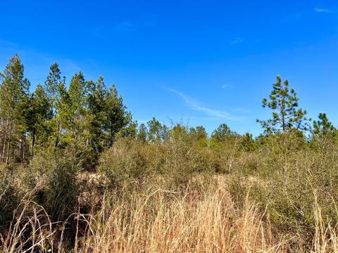 lot29 Naturewalk Dr, Pace, FL 32571 photo 10