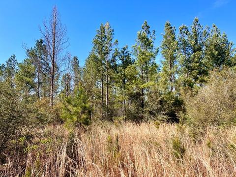 lot29 Naturewalk Dr, Pace, FL 32571 photo 9