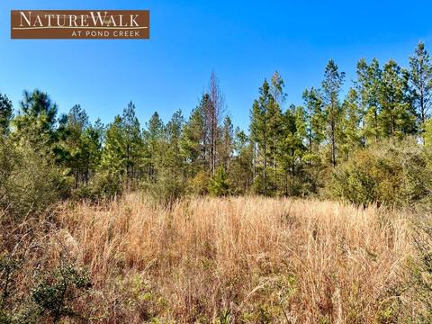 lot29 Naturewalk Dr, Pace, FL 32571