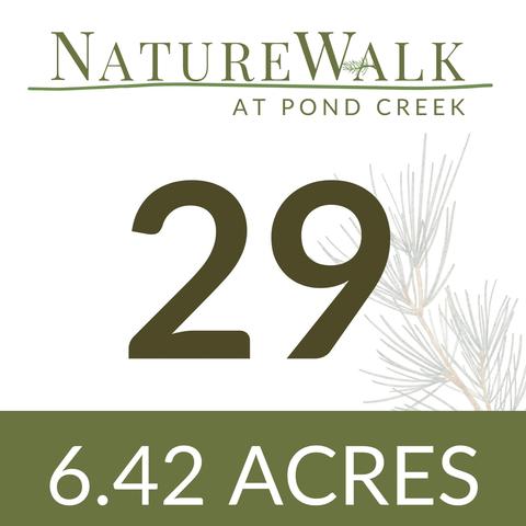 lot29 Naturewalk Dr, Pace, FL 32571 photo 4