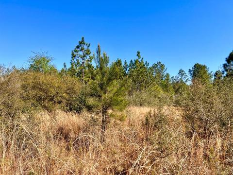 lot29 Naturewalk Dr, Pace, FL 32571 photo 11