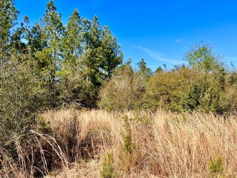 lot29 Naturewalk Dr, Pace, FL 32571 photo 7