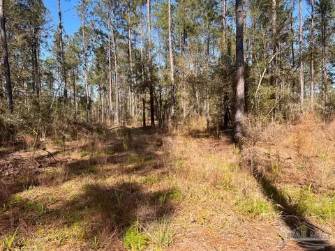 lot32 Naturewalk Dr, Pace, FL 32571 photo 14