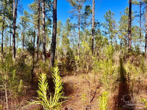 lot32 Naturewalk Dr, Pace, FL 32571 photo 16