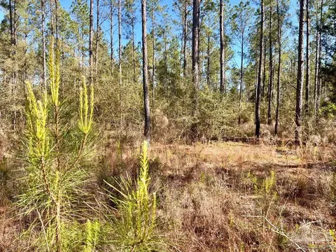 lot32 Naturewalk Dr, Pace, FL 32571 photo 13