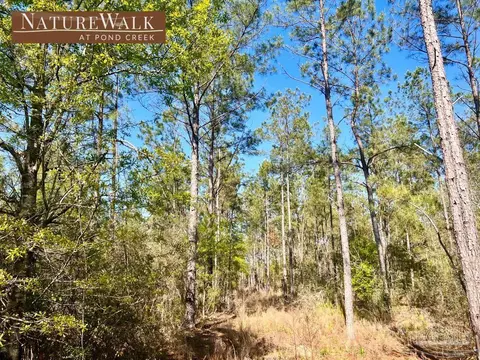 lot32 Naturewalk Dr, Pace, FL 32571 photo 2