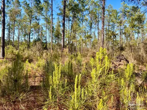 lot32 Naturewalk Dr, Pace, FL 32571 photo 12