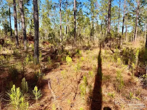 lot32 Naturewalk Dr, Pace, FL 32571 photo 15
