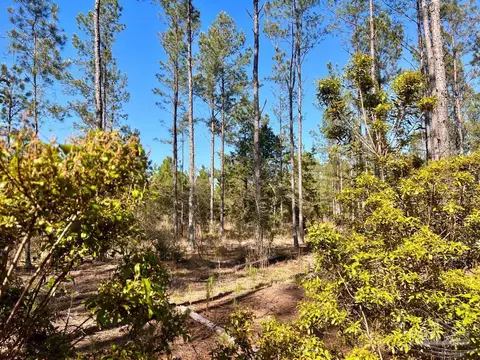 lot32 Naturewalk Dr, Pace, FL 32571 photo 17