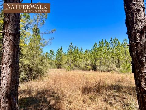 lot84 Pine Preserve Ln, Pace, FL 32571
